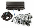 Holley EFI Terminator X Max Stealth 4150 - GM LS Engines 550-1063 black