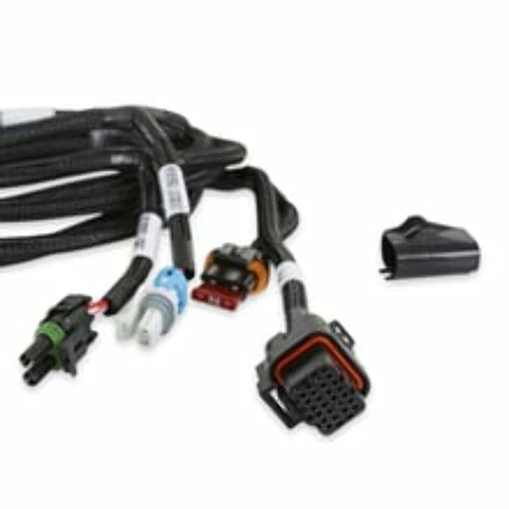 Holley EFI wiring harness t-56-558-481