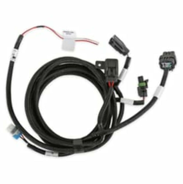 Holley EFI wiring harness t-56-magnum-558-480