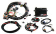 Holley EFI HP engine management system kits-550-602
