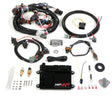 Holley HP EFI ECU and Harness Kits 550-604 for Ford