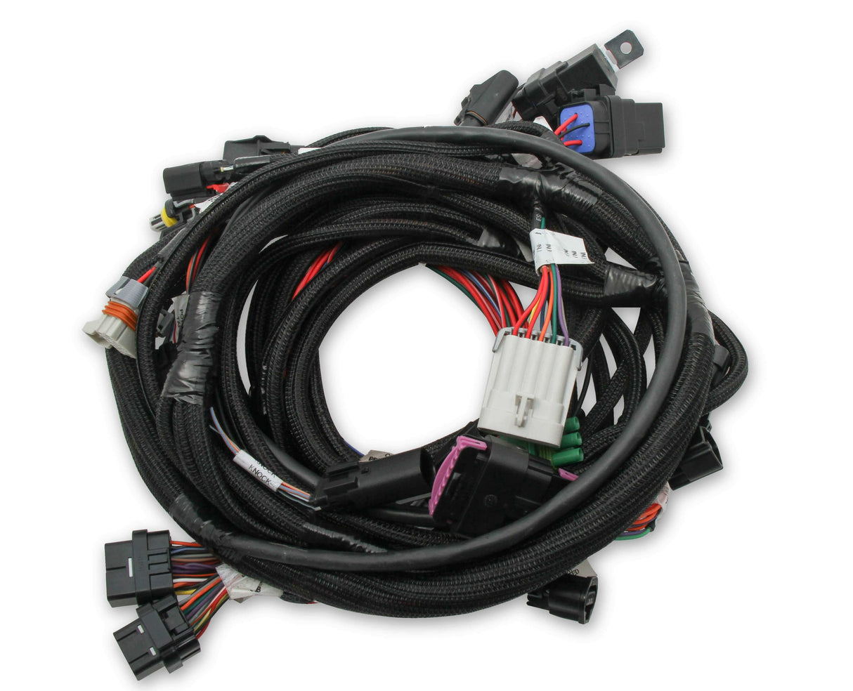 Holley EFI HolleyEFI Ford Coyote Ti-VCT Main Harness for HolleyEFI HP smart coils - 558-122 for 2011-2014 Ford Mustang