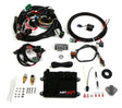 Holley EFI HP EFI ECU & Harness Kits - 550-601 for Ford