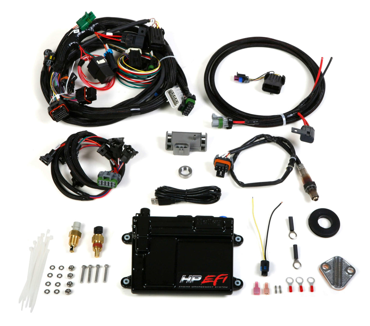 Holley EFI HP EFI ECU & Harness Kits - 550-601 for Ford
