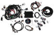 Holley EFI HP engine management system kits-550-617