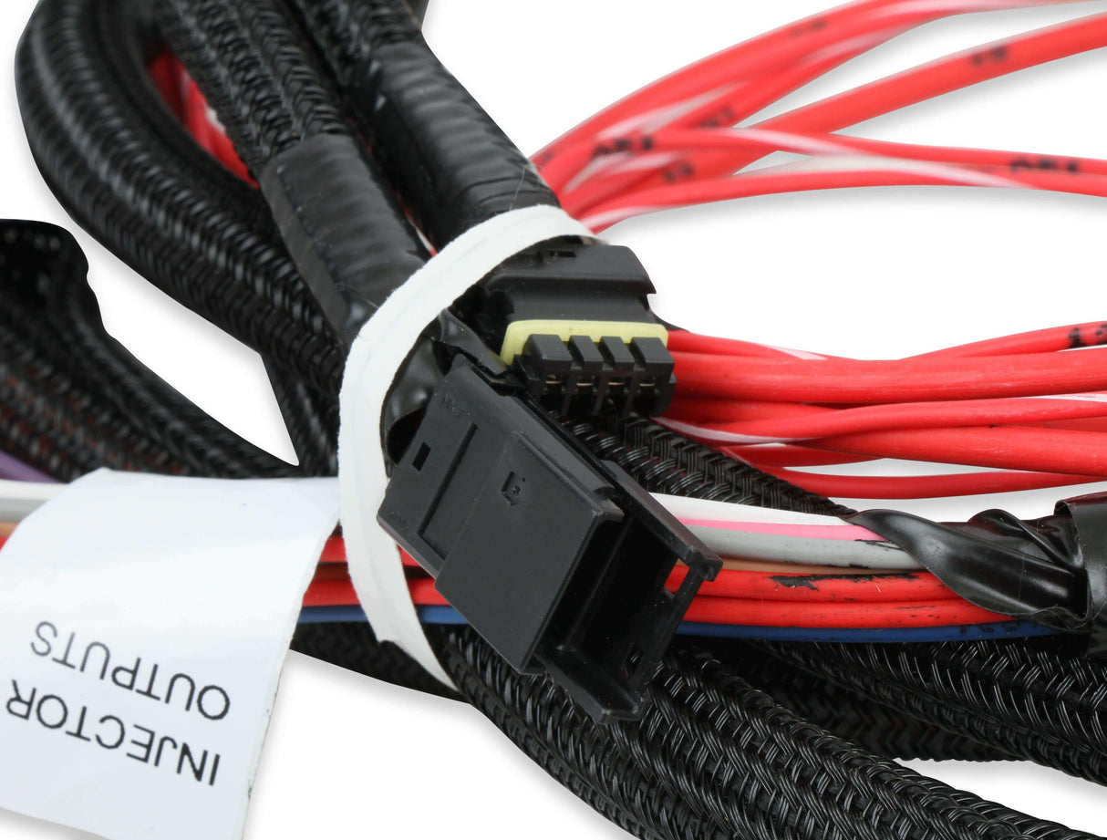 Holley EFI wiring harness harness-558-219