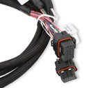 Holley EFI wiring harness harness-558-219