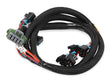 Holley EFI wiring harness truck-558-214