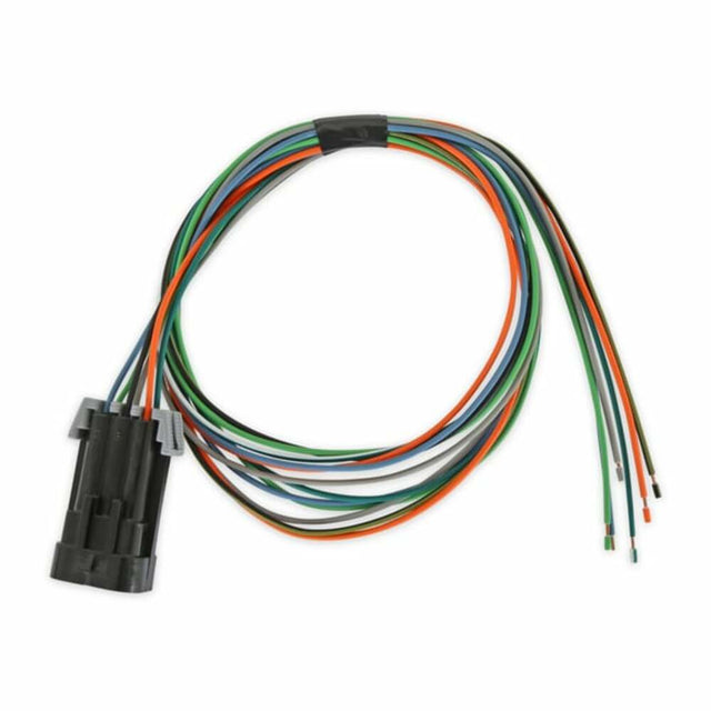 Holley EFI wiring harness systems-558-497