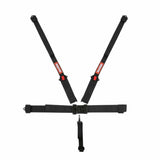 t L & L 5Pt Hnr Seat Belt Black - 717007RQP RaceQuip