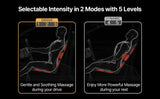 Laxon Air Massage Vehicle Seat (Brown) - DR-6000BR Laxon