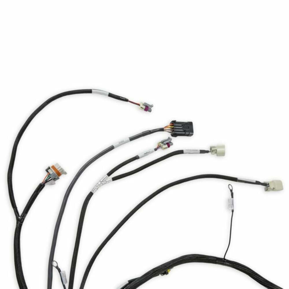Holley EFI Dominator engine management system efi-558-134