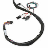 Holley EFI Dominator engine management system efi-558-134
