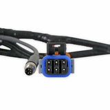 Holley EFI wiring harness pdm-558-191