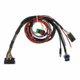 Holley Fuel Pump