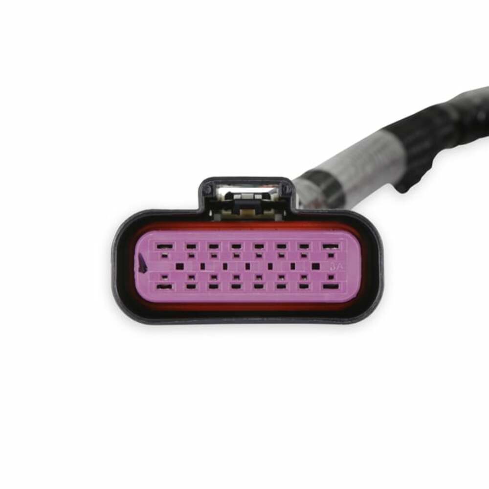 Holley EFI wiring harness pdm-558-190