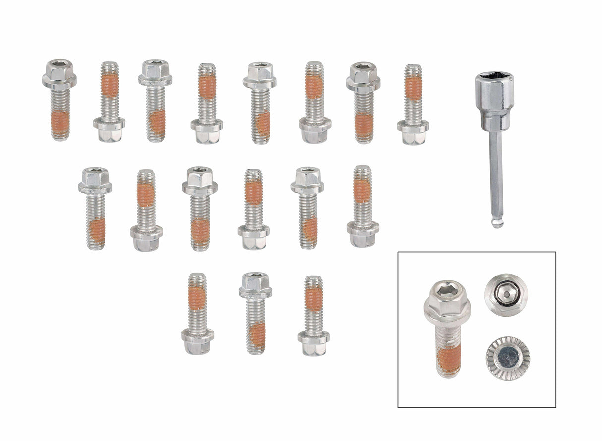 Mr. Gasket headlock locking header bolts M8 1.25 x 25mm set of 17 Ford polished stainless steel 2236G