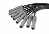 t MSD Ford Raptor 6.2L V8 Black Wire Set - 31633 MSD