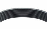 Goodyear V-belt 85 Rib 1080491