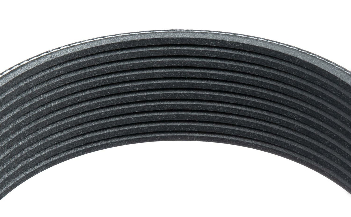 Goodyear V-belt 09 Rib 1100485