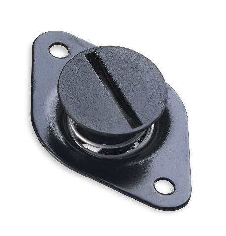 Earl's Quarter Turn Fasteners - PANE6500BK-ERL