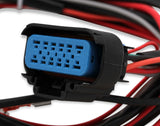 MSD ignition wiring harness 8897