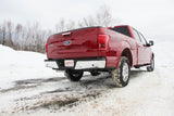 Fits 2016-2020 Ford F-150 2 1/2in. Cat Back; Dual Side Exit; AL - S5257AL