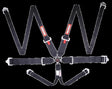 RaceQuip racing harness black 746006RQP