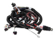 Holley EFI wiring harness lsx-24x-558-111
