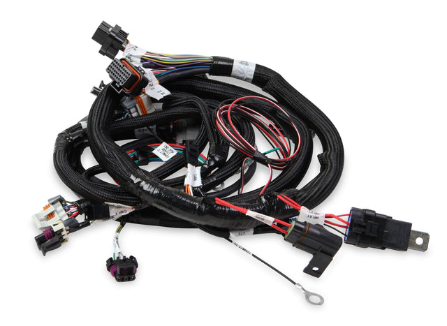 Holley EFI wiring harness lsx-24x-558-111
