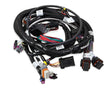 Holley EFI wiring harness lsx-58x-558-112