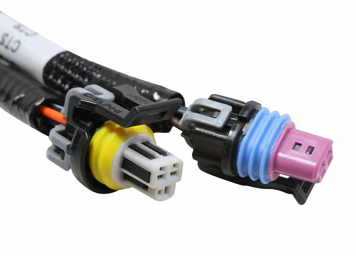 Holley EFI wiring harness harness-558-121