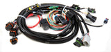 Holley EFI wiring harness harness-558-101