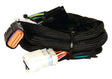MSD ignition wiring harness for 1992-1997 Ford 2773