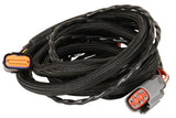 MSD ignition wiring harness for 1995-1997 Ford 2775