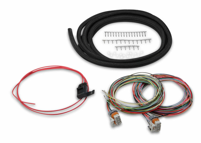 Holley EFI wiring harness harness-558-307