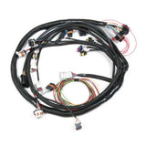 Holley EFI Dominator engine management system harness-558-104