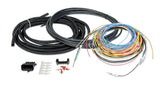 Holley EFI Dominator engine management system harness-558-306