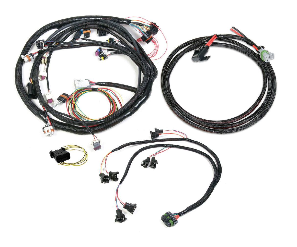 Holley EFI wiring harness kit-558-504