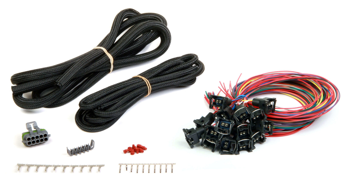 Holley EFI Dominator engine management system harness-558-207