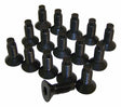Vintage - Metal Black Windshield Frame Screw Kit - 6035757K