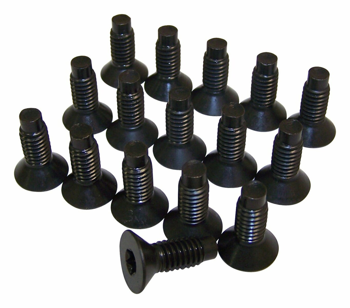 Vintage - Metal Black Windshield Frame Screw Kit - 6035757K