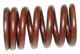 Jeep Vintage - Metal Valve Spring steel J0800417