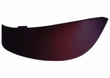 1959 Chevrolet 3B; Outside Windshield Visor WSV5559