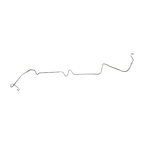 Brake Line for 1969 Chevy Nova Intermediate stainless steel