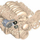 LS A/C Accessory Drive Includes SD7 A/C Compressor  Tensioner  & Pulleys 20-142