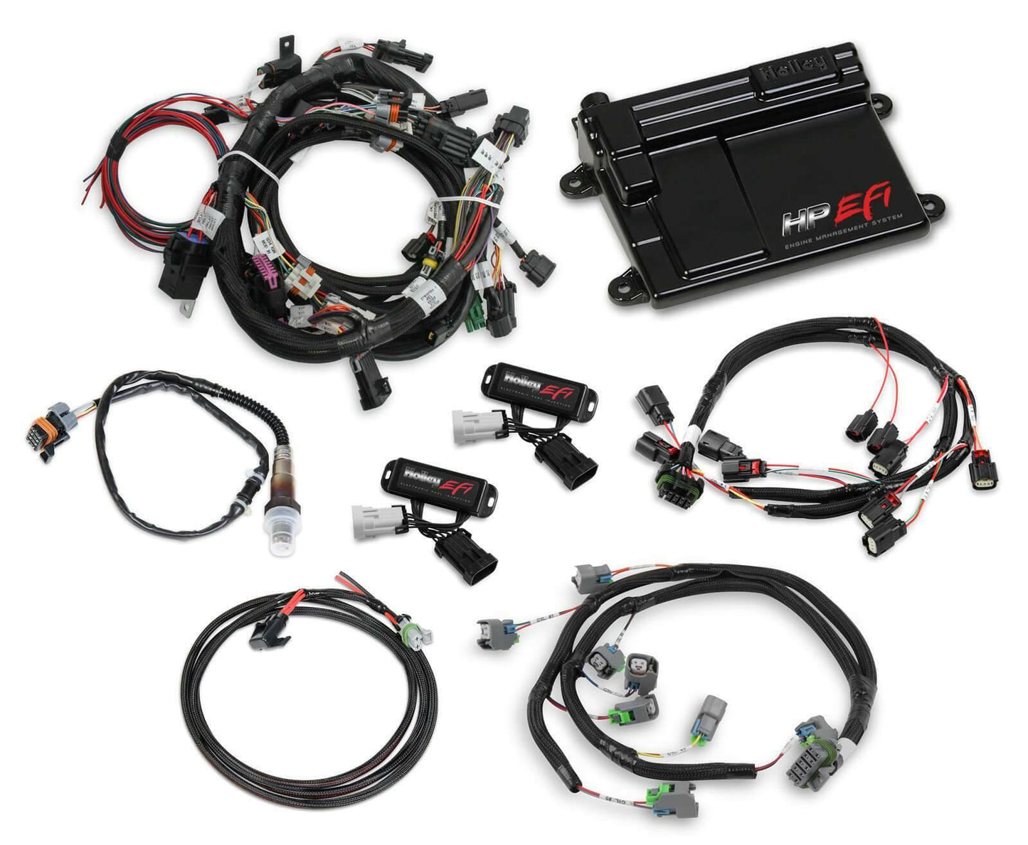Ford Coyote Ti-VCT Capable HP EFI Kit,  Bosch O2 - 550-628