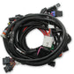 HolleyEFI Ford Coyote Ti-VCT Main Harness for HolleyEFI HP smart coils - 558-122
