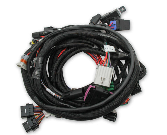HolleyEFI Ford Coyote Ti-VCT Main Harness for HolleyEFI HP smart coils - 558-122