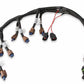 Ford Coyote Ti-VCT Coil Harness (2015.5-2017) - 558-322